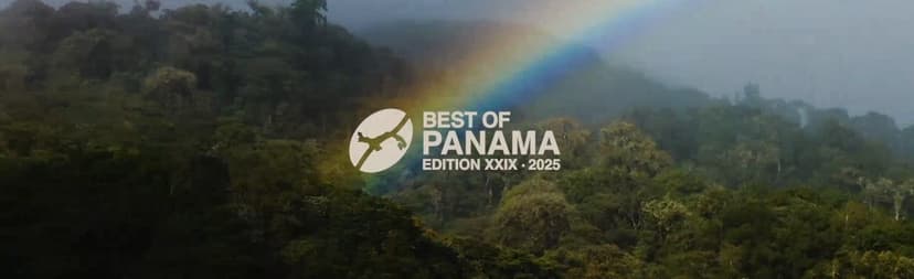 Best of Panama 2025: Daftar Lengkap Pemenang, Rekor Cupping Score, Jadwal Lelang image